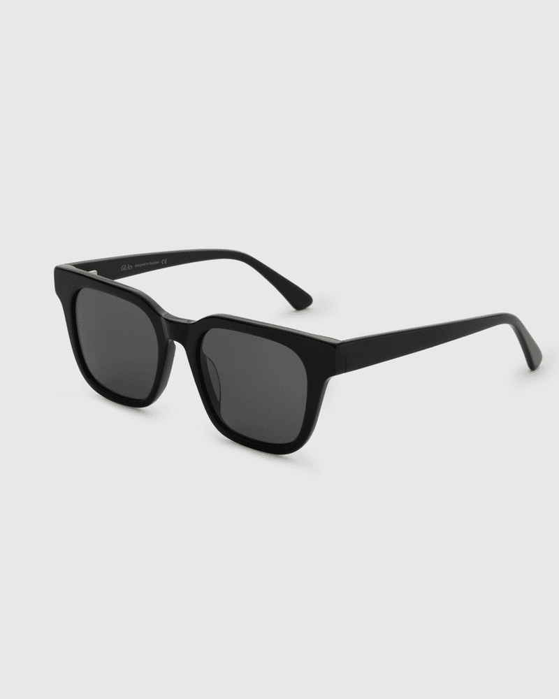 Axton Black Sunglasses