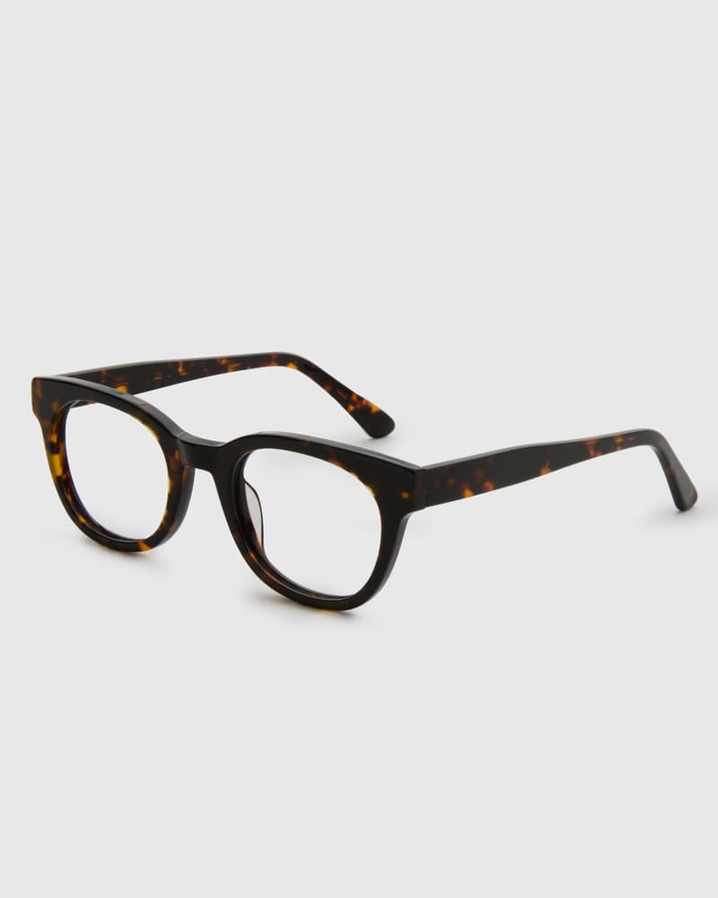 Jamie Turtle Brown Readers