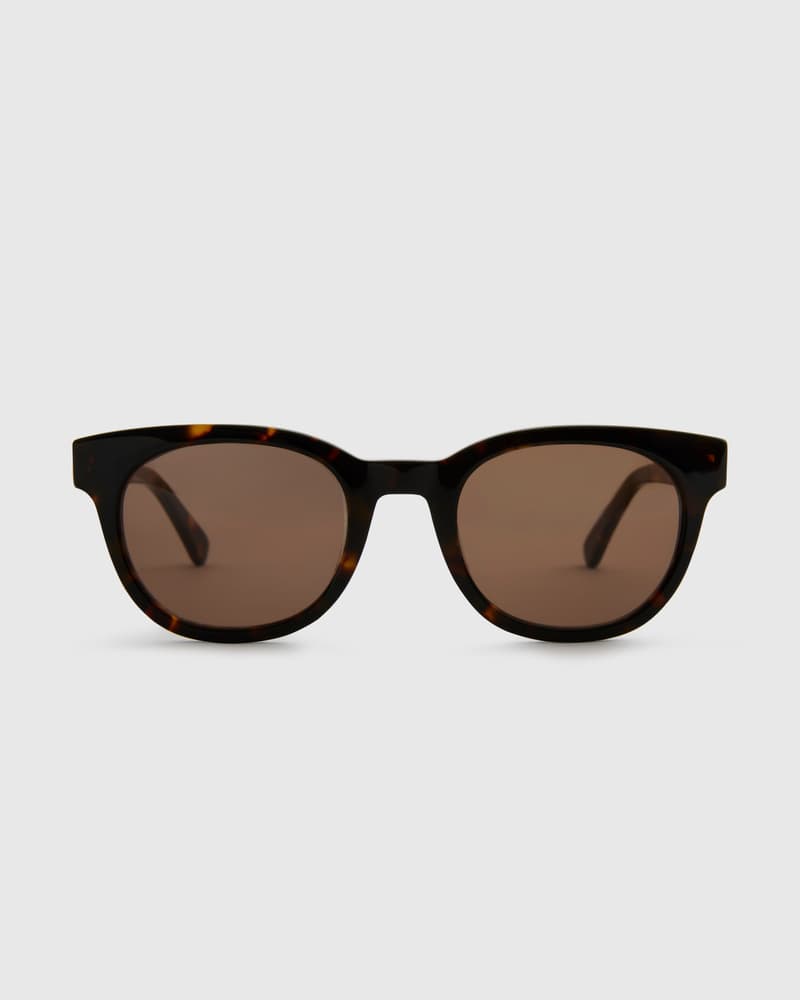 Jamie Turtle Brown Sunglasses