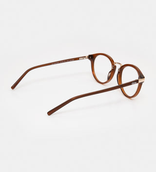 Ann Light Brown Readers