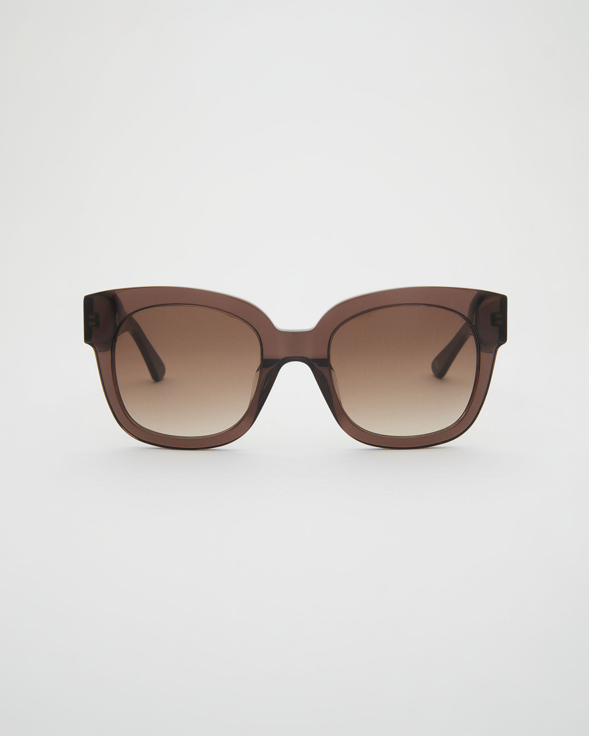 Chloe Chocolate Sunglasses