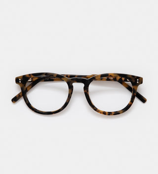 Eva Honey Turtle Readers
