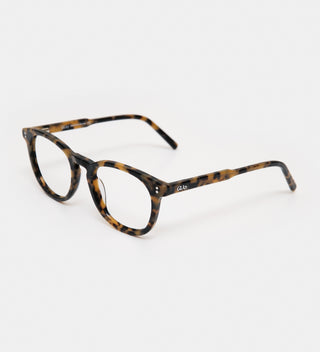 Eva Honey Turtle Readers