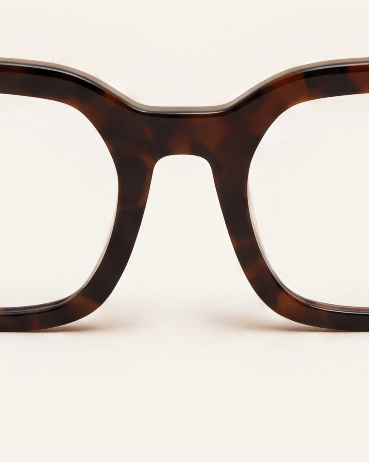 Kiara Turtle Brown Readers, detail