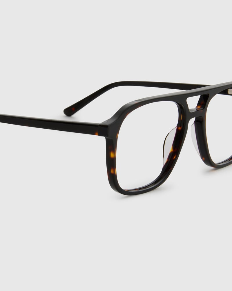 Robyn Turtle Brown Blue Light