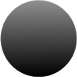 Shiny Black