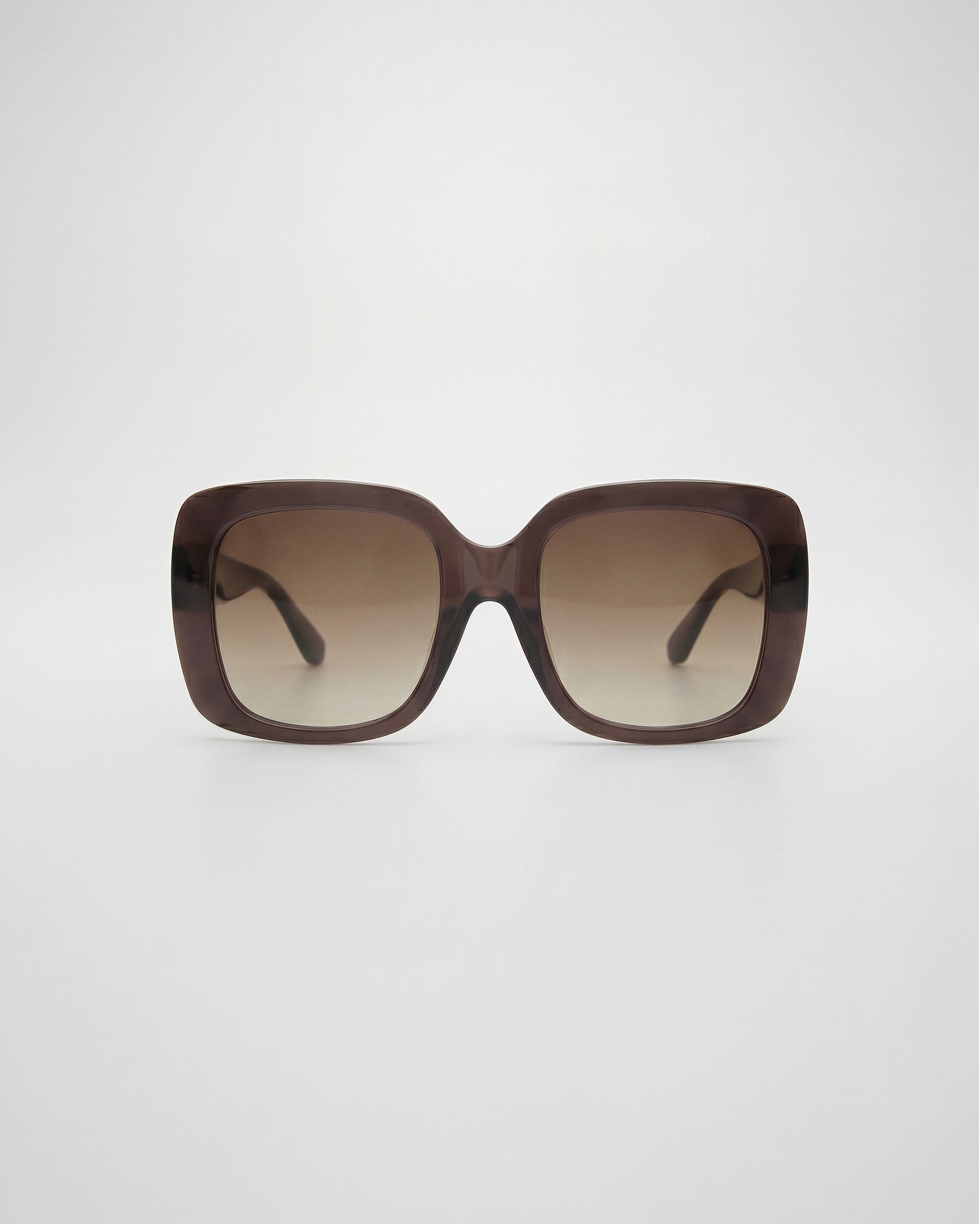 Mio Chocolate Sunglasses